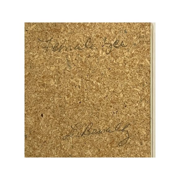 Framed Navajo Sand Art – “Female Yei” by L. Benally – 13 x 7” – Traditional Nati - Picture 3 of 3